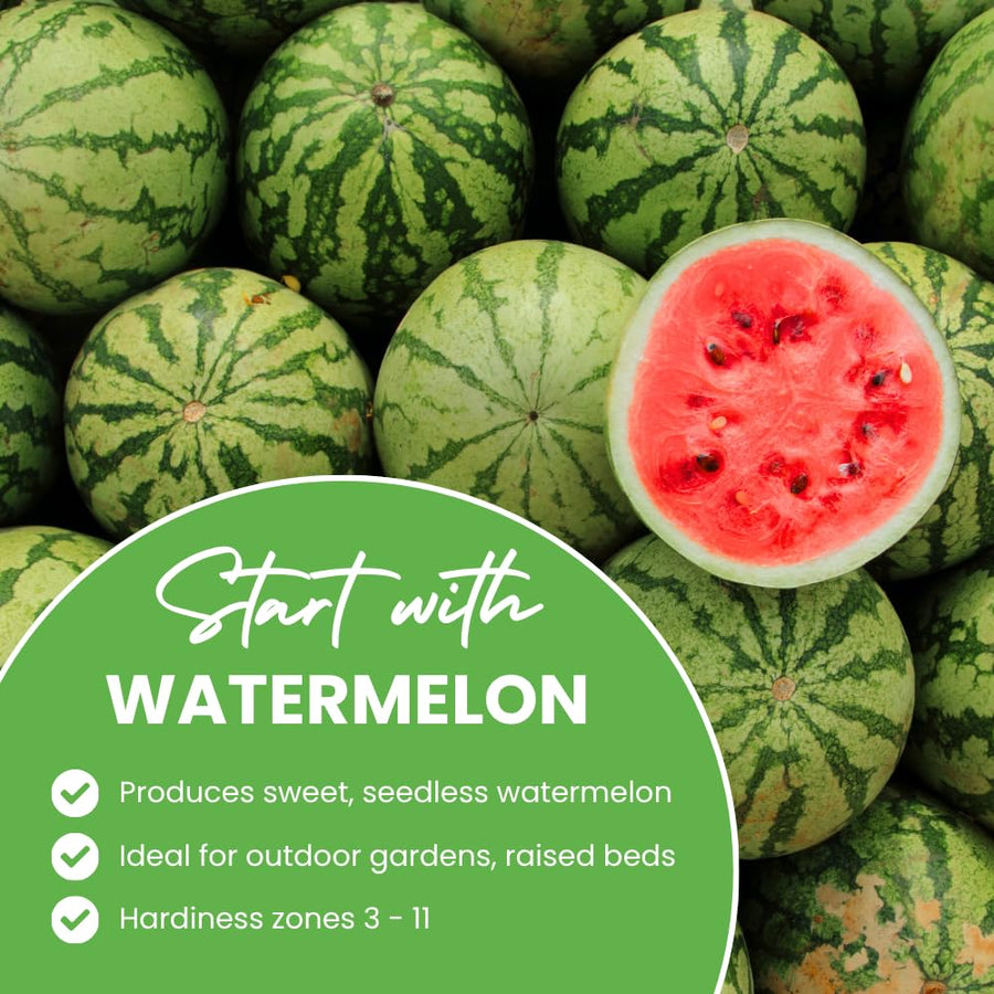 Pack 100 Sweet Watermelon Seeds, Watermelon Seeds for Planting, Heirloom, High Yield Sweet Melon Seed for Beds or Outdoor Garden