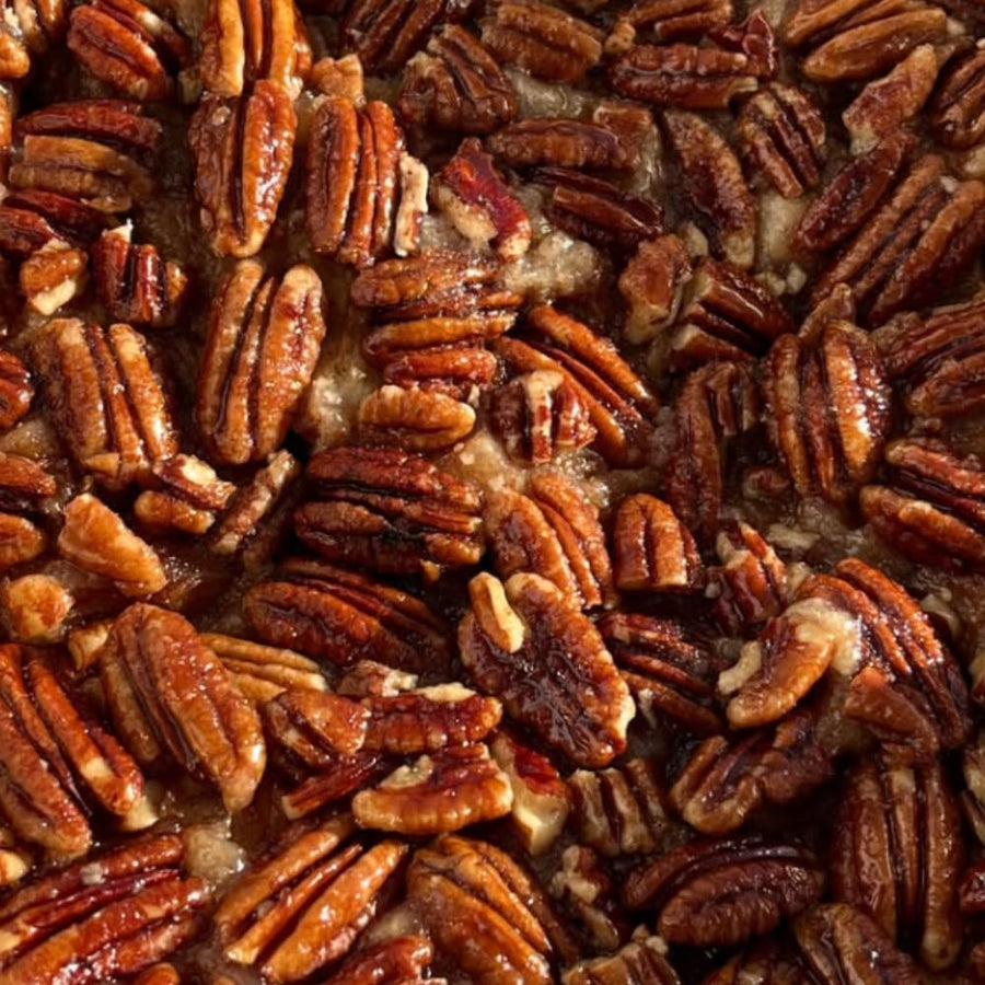 Set 2 Pecan Tree Live Plant for Planting, Edible Nut Tree, 10-12 Inches Tall, Dormant, Bare Roots, Pecan Tree Seedling for Outdoor Garden