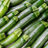 Set of 50 Dark Green Zucchini Seeds, Zucchini Vegetable Plant, Fresh Summer Squash for Outdor Gardening