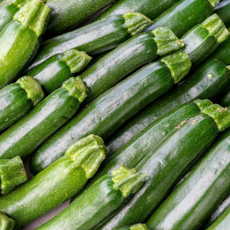 Set of 50 Dark Green Zucchini Seeds, Zucchini Vegetable Plant, Fresh Summer Squash for Outdor Gardening