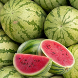 Pack 2 Watermelon Plants Live, Sweet Fruit Plant Gardening, 4-6 Inches Tall, Ready to Grow