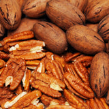 Pecan Tree Live Plant, 10-12 Inches Tall, Edible Nut Tree, Pecan Tree Seedling for Outdoor Planting, Ready to Grow