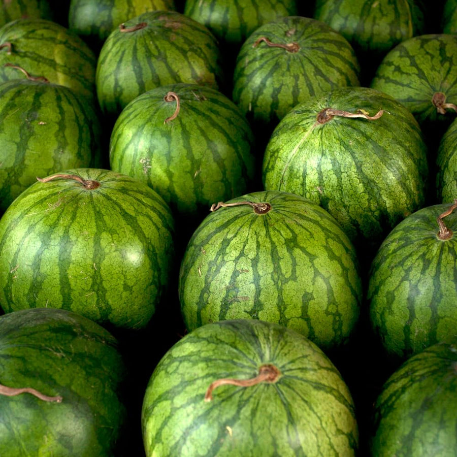 Set 100 Sugar Watermelon Seeds for Planting, Sweet Watermelon Fruit Plant, Sweet Melon Seed for Outdoor Gardening