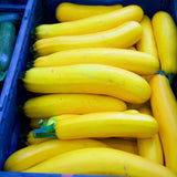 50 Yellow Zucchini Seeds for Planting, Summer Squash Vegetable Seeds, Garden Seeds for Outdoor Growing