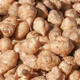 1 Lb Jerusalem Artichoke Bulbs for Planting, Hardy Perennial Sunchoke Tubers, Home Garden Growing