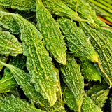 20 Long Bitter Melon Seeds for Planting, Green Bitter Gourd Vegetable Seeds for Home Garden, Vegetable Vine Plants Seed