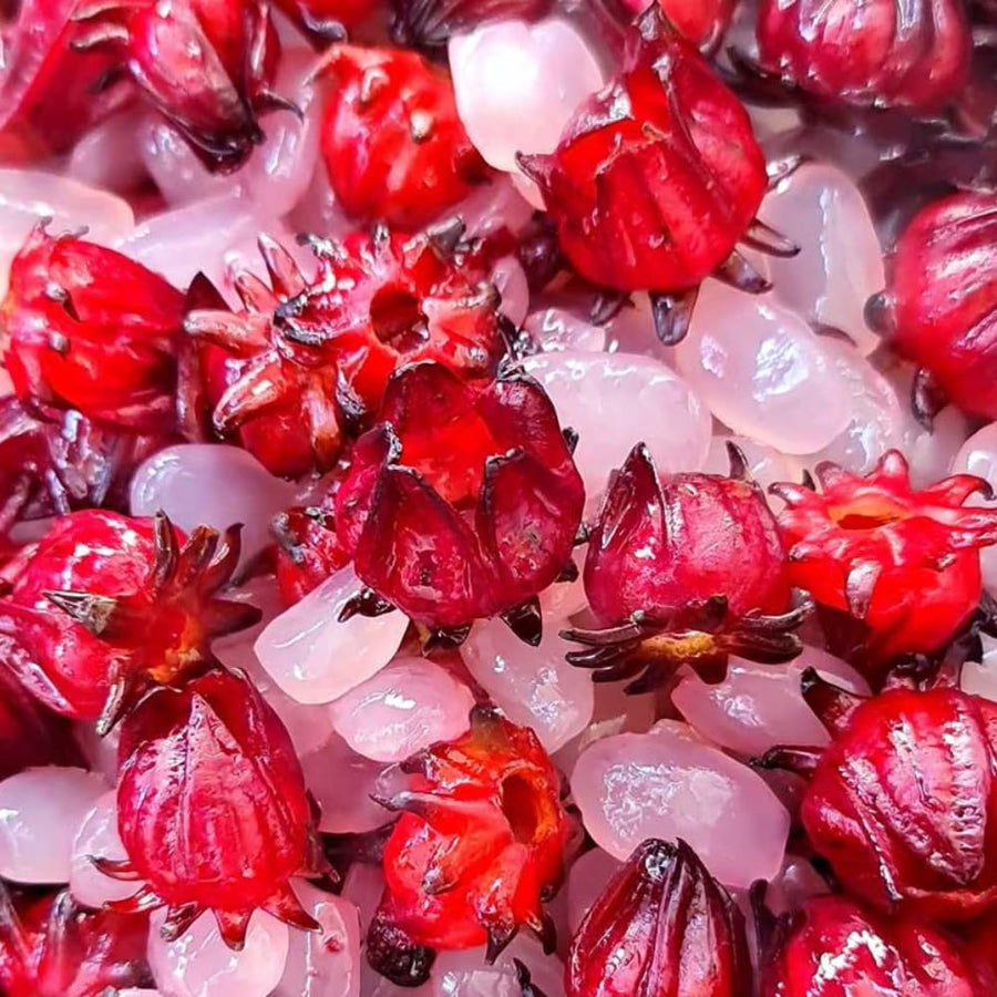2 Sabdariffa Roselle Hibiscus Plants, Live Red Roselle Live Plants, Hibiscus Flower Plants for Outdoor Planting, 2 Plants per Pot, 4 Inc Pot