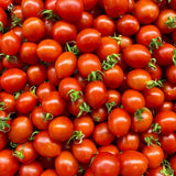 Red Cherry Tomato Live Plant, Tomato Plant Live, Sweet Tomatos Fruit, 8-10 Inches Tall in 4 Inch Pot for Indoor Outdoor Planting