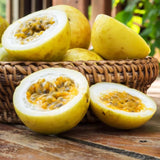 Yellow Passion Fruit Plant Live, 10-12 Inches Tall in 4 Inch Pot, Passiflora Tropical Vine for Outdoor Growing, Passionfruit Seedling