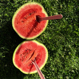 2 Red Watermelon Plants Live from 5 Inc Tall, Sweet Fruit Plant Gardening, Watermelon Live Plant Potted