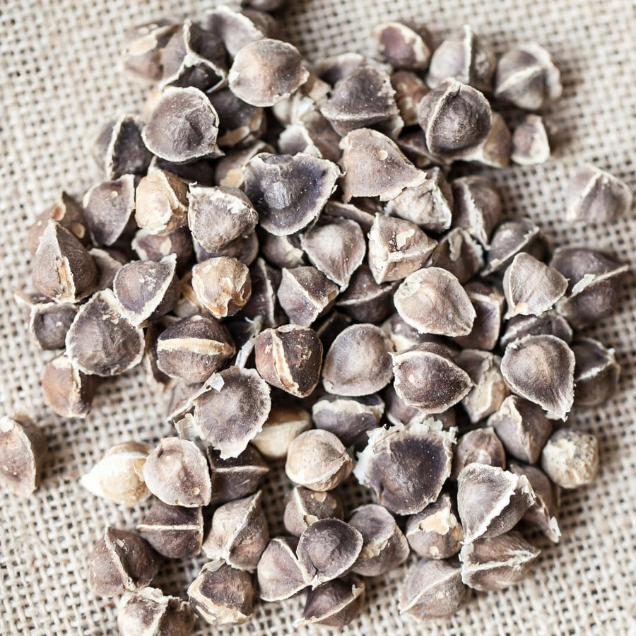 50 Moringa Seeds for Planting, Oleifera Tree Seeds, Suitable for Outdoor Growing