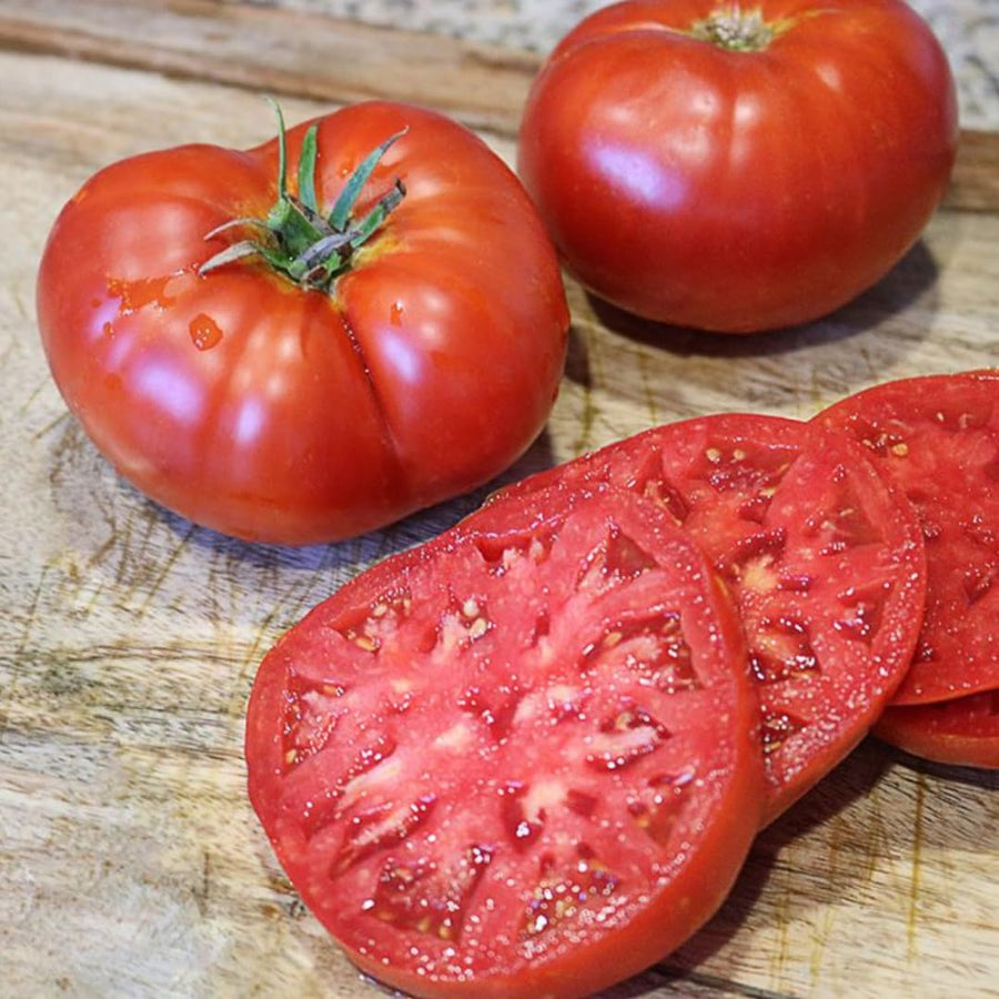 Lot 4 Tomato Plants Live for Planting Outdoors, Large and Juicy Tomatoes, Well Rooted, 6 to 8 Inch - Tomato Big Boy