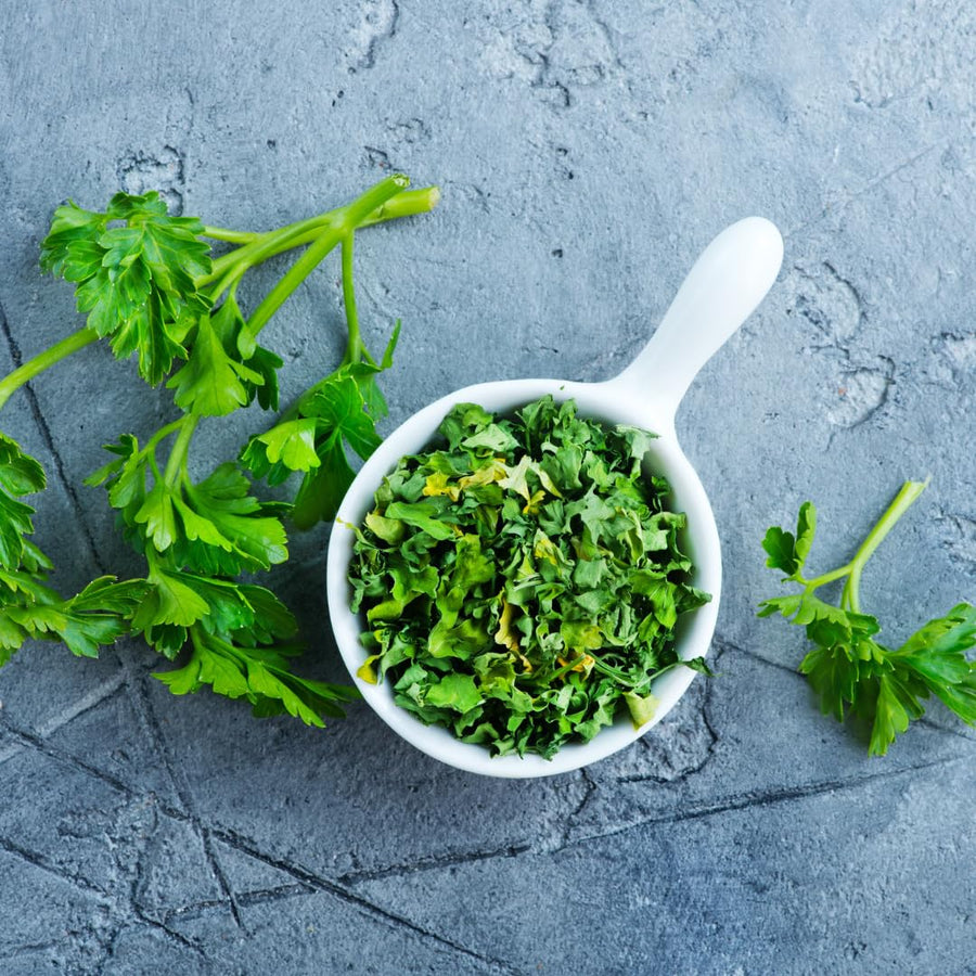 Pack 500 Parsley Seeds for Planting, Culinary Herb Seeds, Suitable for Indoor or Outdoor Growing