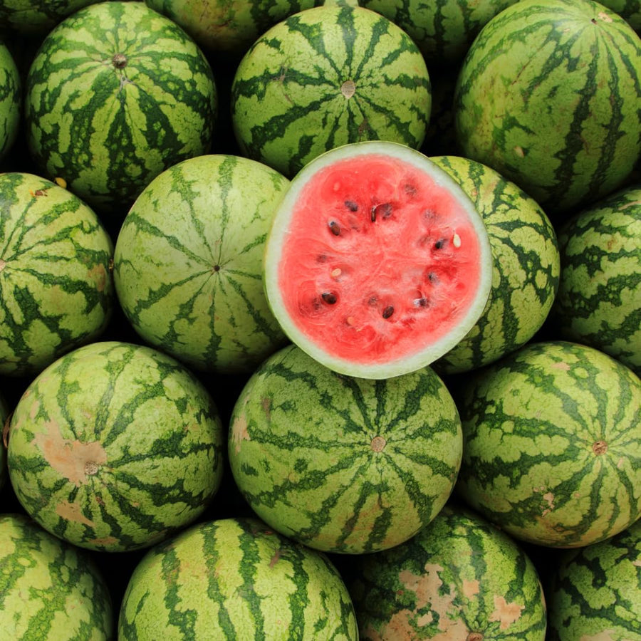 2 Watermelon Plants Live, 4 to 6 Inches Tall, Sweet Fruit Plants, Sweet Melon Starter Plants for Outdoor Gardens