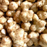 0.5 Lb Jerusalem Artichoke Tubers, Sunchoke for Planting, Hardy Perennial Vegetable for Home Garden