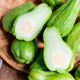 Chayote Squash Plant, Vegetable Plant Live for Gardening Outdoor, 8-10 Inches Tall