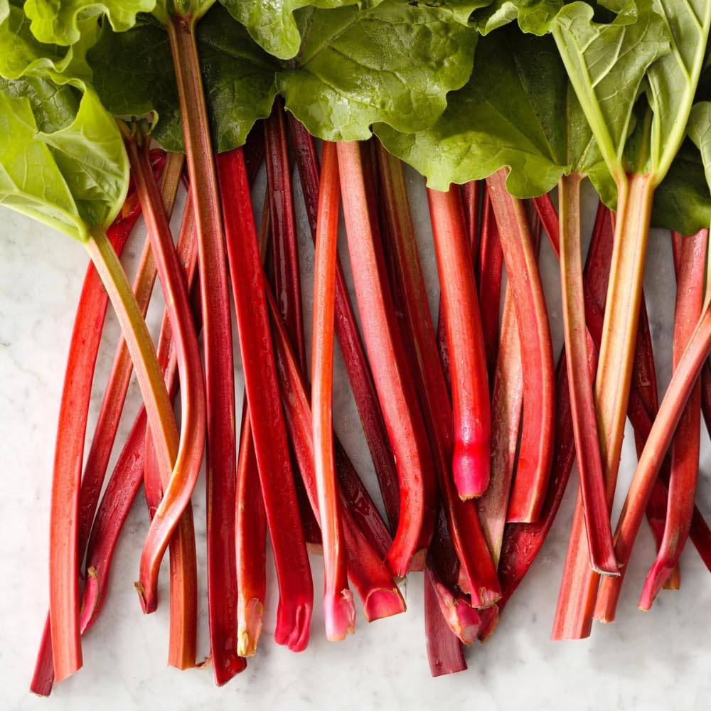 Pack 5 Rhubarb Roots Plants, Red Rhubarb Roots Vegetable for Planting, Hardy Perennial Vegetables