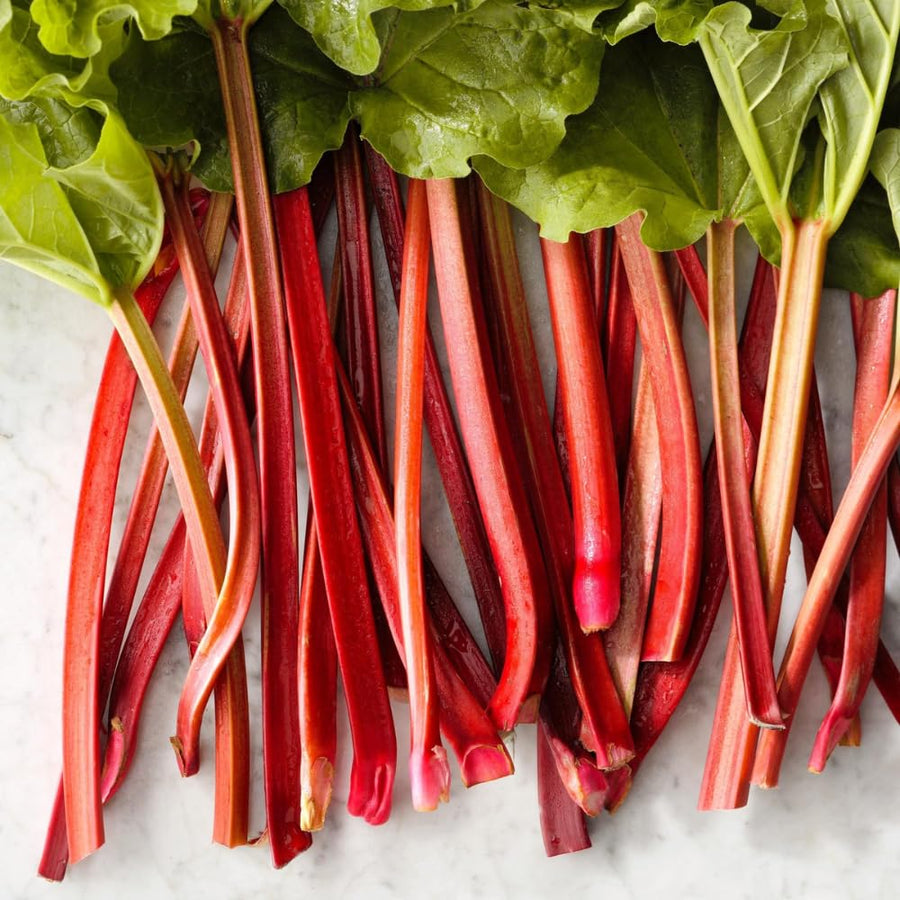 Pack 5 Rhubarb Roots Plants, Red Rhubarb Roots Vegetable for Planting, Hardy Perennial Vegetables