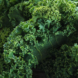 2 Kale Plants Live, Vegetable Live Plant, Kale Live Plant Pot, 3 to 5 Inc Tall, Perennial Hardy Vegetable Plants