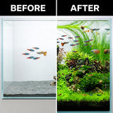100 Aquarium Grass Seeds for Planting, Freshwater Aquarium Ground Cover Seeds, Fast-Growing Fish Tank Plants, Aquatic Plant Seeds