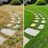 Set 20000 Zoysia Grass Seeds, Zoysia Grass Seed for Lawn, Soft Fine Ground Cover for Landscape, Yard and Walkway