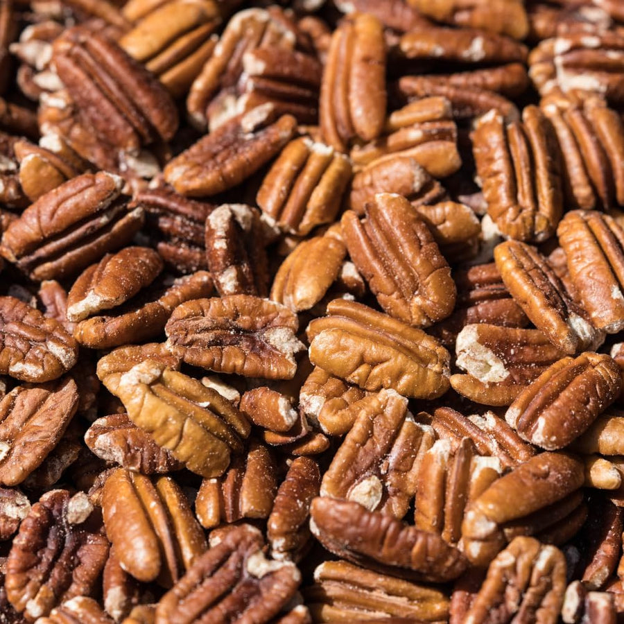 Set 2 Pecan Tree Live Plant for Planting, Edible Nut Tree, 10-12 Inches Tall, Dormant, Bare Roots, Pecan Tree Seedling for Outdoor Garden