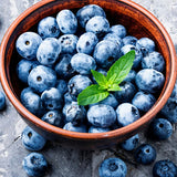 1 Blueberry Plant Live, Blueberry Bushes Live Plant, 1 Year Old, Blueberry Tree Live Plant, Blueberry Fruits (Sunshine Blueberry)