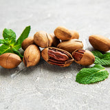 Set of 2 Pecan Trees Live Plants, 6-12 Inches Tall, Pecan Nut Tree Seedlings for Outdoor Garden Planting, No Pot, Dormant in Winter