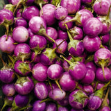 Pack of 100 Purple Round Eggplant Seeds for Planting, Assorted Eggplant Vegetable Seeds for Outdoor Gardening, Suitable for Home Garden Beds, Raised Beds, or Containers