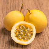 Yellow Passion Fruit Plant, 6-8 Tall Passiflora Plants in 4 Inch Pot, Tropical Passion Fruit Vine for Outdoor Growing, Passionfruit Seedling