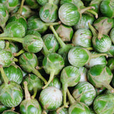 100 Green Eggplant Seeds for Planting, Eggplants Seeds, Vegetable Plant Garden Outdoor Indoor