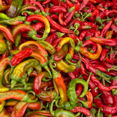 100 Bird Chili Pepper Seeds for Planting, Chili Seed for Garden, Containers