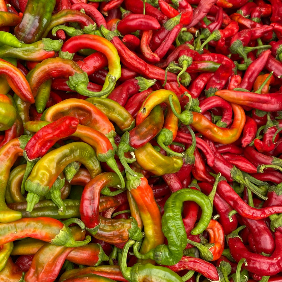 100 Bird Chili Pepper Seeds for Planting, Chili Seed for Garden, Containers