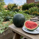 50 Sugar Watermelon Seeds for Planting, Small Sweet Watermelon Seeds, Garden Fruit Seeds for Outdoor or Container Growing