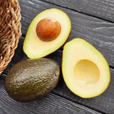 HASS Avocado Tree Live Plant, Avocado Fruit Tree for Garden or Container Growing, Well Rooted 6-10 Inches, Zones 9–11