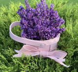 2 Live Lavender Plants, Purple Lavender Starter Plants in 3'' Pot, Fragrant Flowering Herb for Gardens, Planters and Indoor Pots (Very Fragrant Lavenders)
