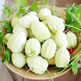 20 Bitter Melon Vegetable Seeds, Bitter Gourd Seeds for Outdoor Planting (White)