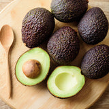 HASS Avocado Plant Live 8-10'' Tall, Cold Hardy Avocado Tree Seedlings Ready to Grow, Tropical Fruit Tree for Outdoor Growing