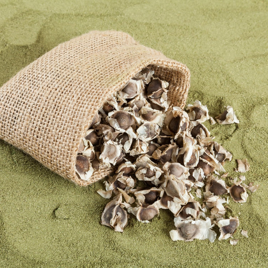 Pack of 100 Moringa Seeds for Planting, Moringa Oleifera Tree Seeds, Tropical Garden Plant Seeds Outdoor