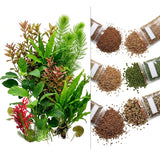 200 Mix Aquarium Grass Seeds for Planting, Aquarium Seeds, Aquatic Grass Garden