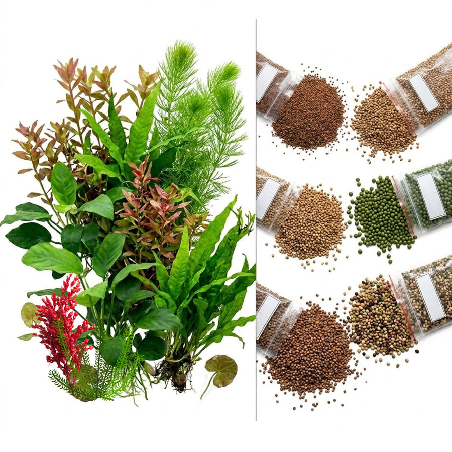200 Mix Aquarium Grass Seeds for Planting, Aquarium Seeds, Aquatic Grass Garden