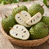 Soursop Tree Live Plant, Tropical Soursop Fruit Tree 8-10 Inch Tall, Annona Muricata Guanabana Seedling, Ready to Grow Outdoor