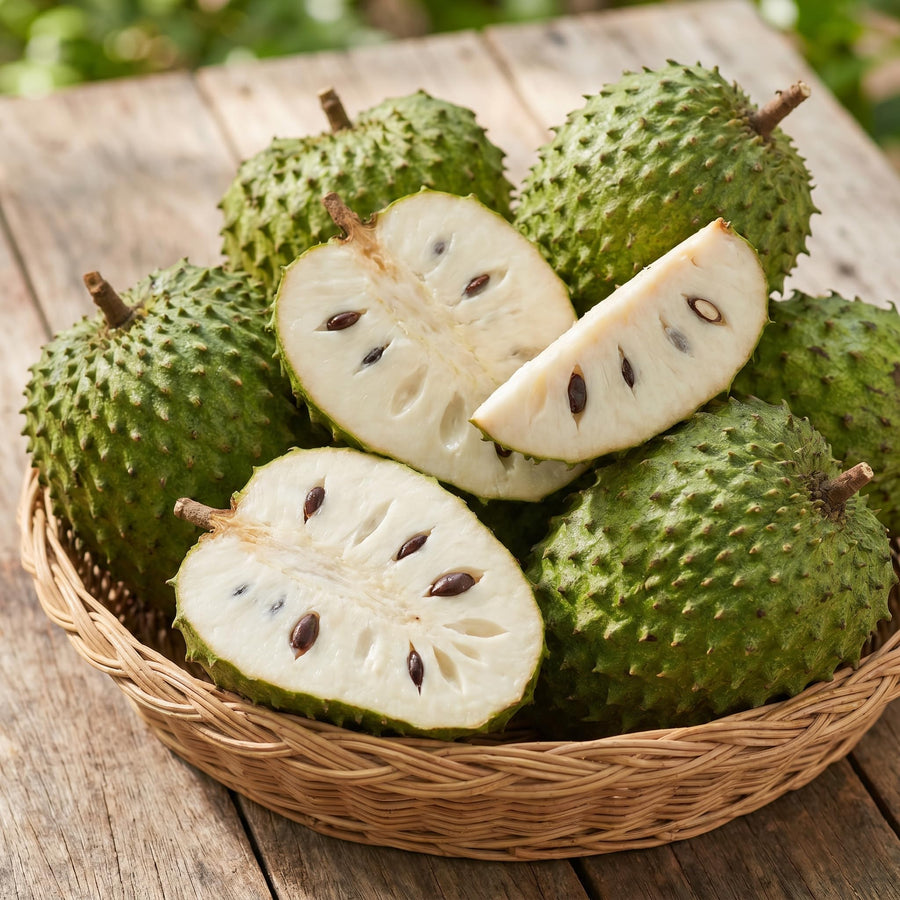 Soursop Tree Live Plant, Tropical Soursop Fruit Tree 8-10 Inch Tall, Annona Muricata Guanabana Seedling, Ready to Grow Outdoor
