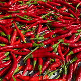 50 Bird Chili Pepper Seeds, Hot Pepper for Planting, Heirloom Variety for Garden