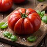 500 Beefsteak Tomato Seeds for Planting, Large Tomato Vegetable Seeds, Garden Seeds for Outdoor Growing and Containers
