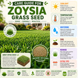 30000 Zoysia Grass Seeds, Emerald Zoysia Grass Seeds, Warm Season Lawn Seed, Soft Green Grass, Backyard Landscaping