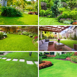 Set 30000 Emerald Zoysia Grass Seeds, Zoysia Grass Seeds, Dense Green Lawn, Low Maintenance Lawn Seed for Outdoor Garden