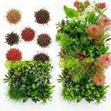 100 Aquarium Grass Seeds for Planting, Mix Aquarium Seeds, Aquatic Grass Garden