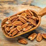2 Pecan Plant Live Bare Roots, Pecan Tree Seedling from 8 to 10 Inc Tall, Easy to Plant Outdoor