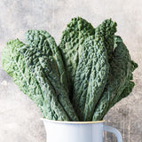Blue Kale Live Plant in 4″ Pot, Well Rooted Kale Plants, Vegetable for Garden or Container Planting